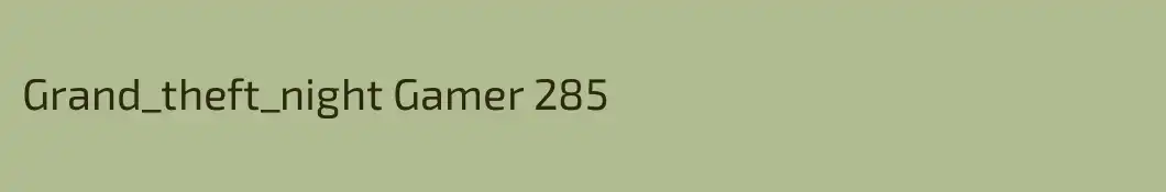 Grand_theft_night Gamer 285